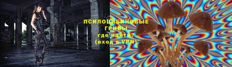 Псилоцибиновые грибы ЛСД  Железногорск 